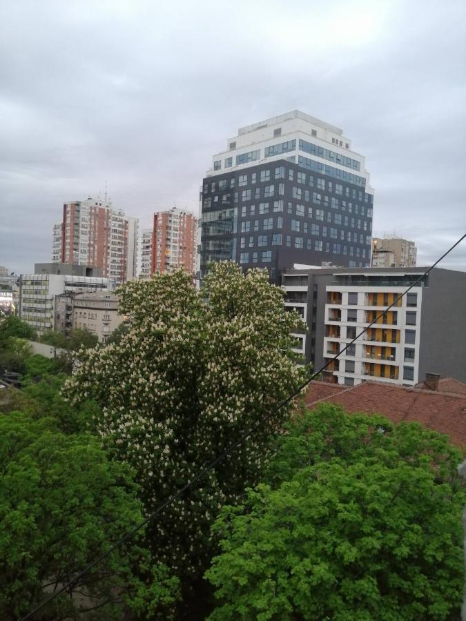 Apartament Caviar Belgrad Zewnętrze zdjęcie